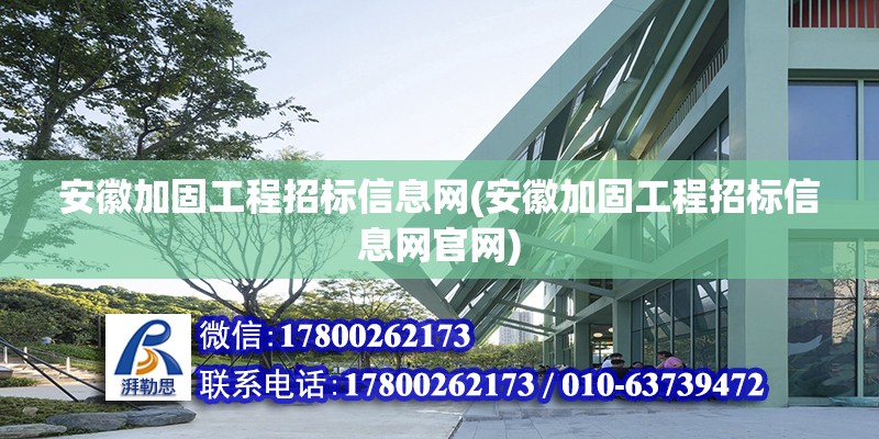 安徽加固工程招標信息網(安徽加固工程招標信息網官網)