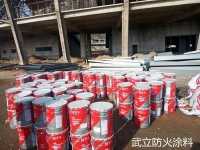 鋼結構防火涂料一公斤多錢