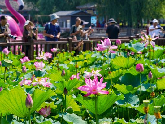 北京檔案館時間